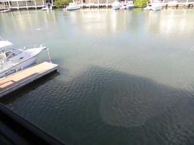 Dockage